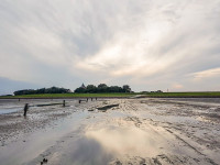 IMG-20170319-WA0001 c