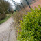 IMG 4539