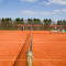 IMG 7481